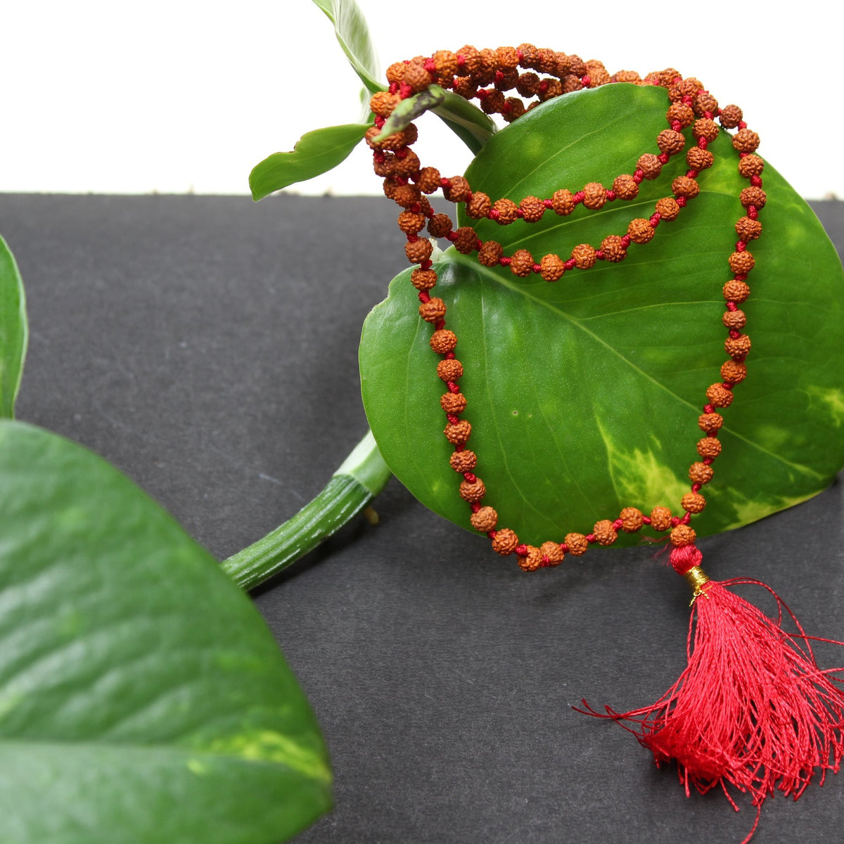 Original Rudraksha Mala – 5 mm Beads